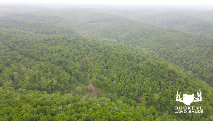 County Road 4 10+/- Acres, Pedro, Ohio, 45659